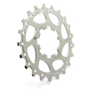 Campagnolo 10 Speed Sprockets - Options