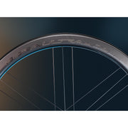 Campagnolo Bora Ultra WTO 45 DB 2WF C23 SH11 Pair