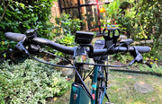 Trek Verve +3 Lowstep 2023