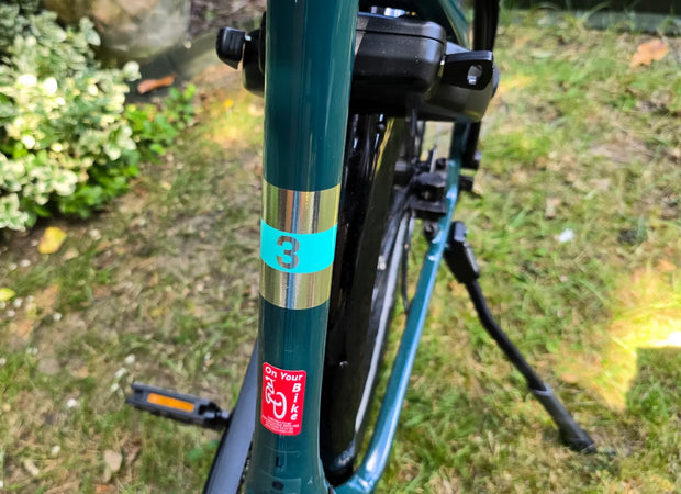 Trek Verve +3 Lowstep 2023