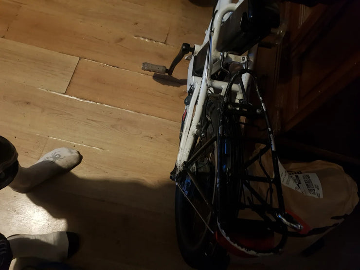 VoltBike Elegant 2019