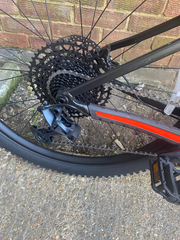 Trek Roscoe 8 2023