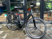 Trek Verve+ 4 2022