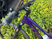 Trek Dual Sport 2 Women's 2021