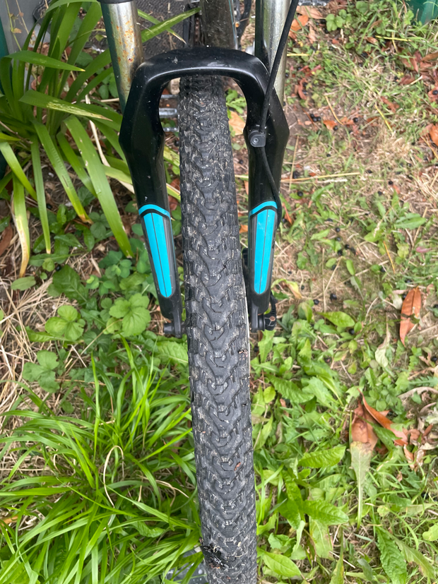 Trek Skye SL 2018