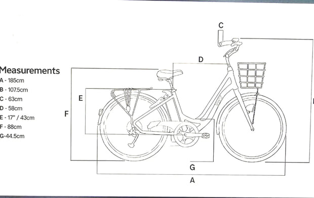 Volt Kensington  2021