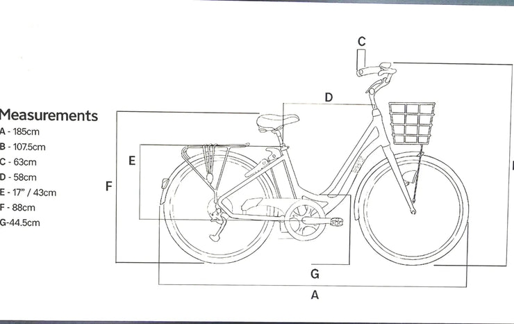 Volt Kensington  2021