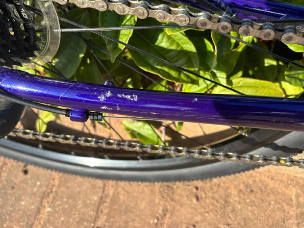 Trek Dual Sport 2 Women's 2021