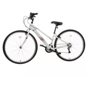 Apollo Excelle  2022