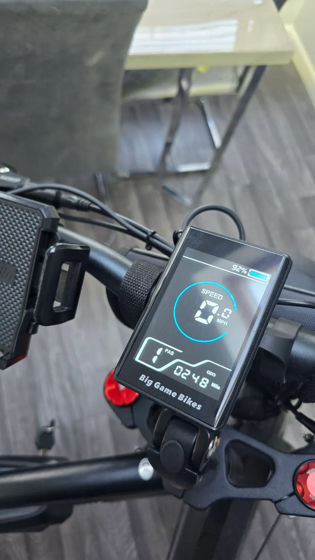 Big Game Bikes Buffalo Alpha Plus 750W 2024