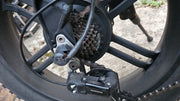 ADO A20F 2021