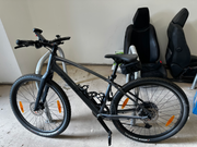 Trek Dual Sport 3 Gen 5 2024