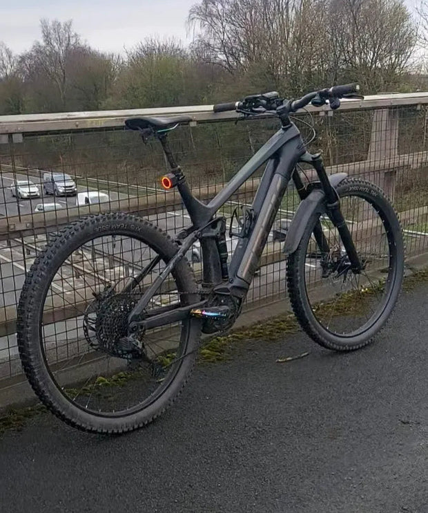 Trek Rail 9.5 2021
