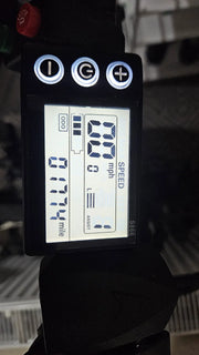 ADO A20F 2021