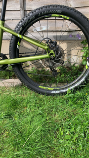 Whyte 202 Junior Trail Bike 2022