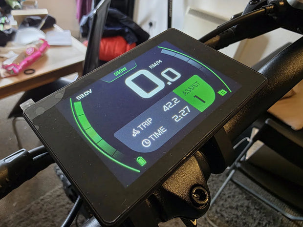 Allegro  Fat tyre  2025