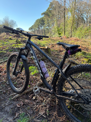 Trek Roscoe 7 2022