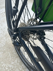 Trek Verve plus low step bike 2020