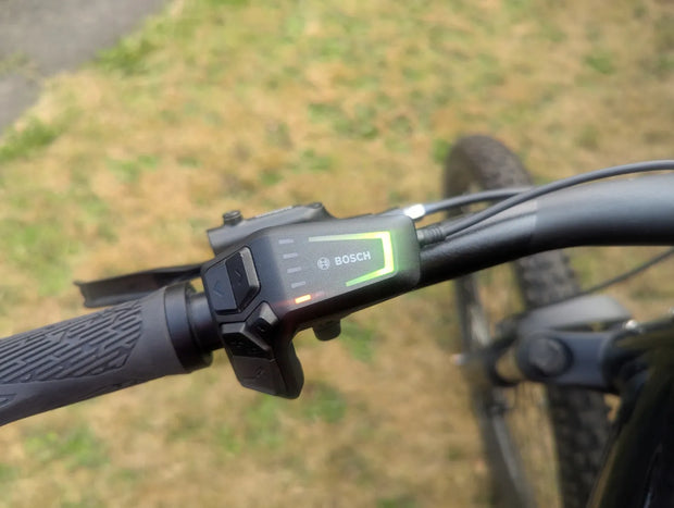 Bergamont E-Revox Edition 2023