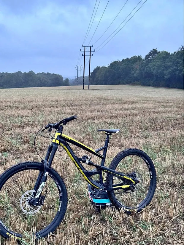 YT Industries YT Capra AL 2017