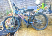 Apollo Phaze Mens Mountain Bike 2023