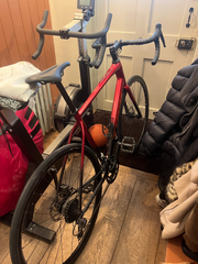 Trek Domane AL 2 Gen 4 2024