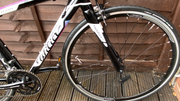 Wilier Luna 2020
