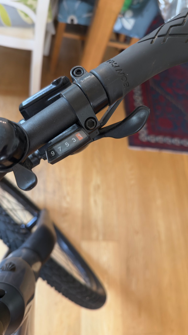 Trek Dual Sport+ 2 Stagger 2023