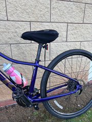 Trek Dual Sport 2 Women's 2021