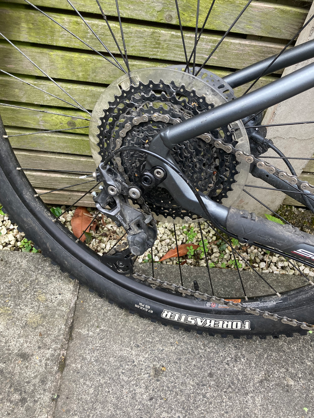 Whyte 901 2019