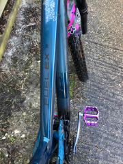 Trek Fuel EX 8 2020