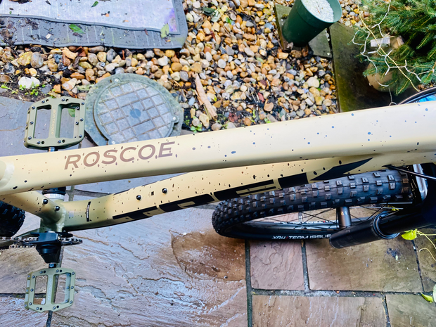 Trek Roscoe 9 2023