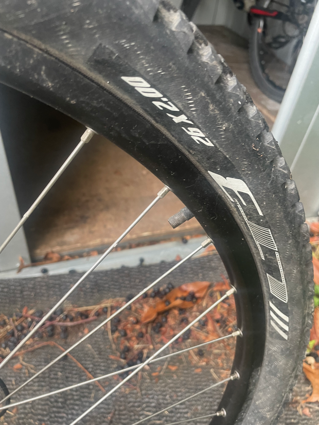 Trek Skye SL 2018