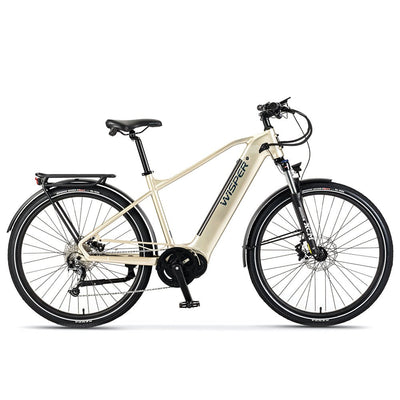 Wayfarer M9 Mid-Drive Crossbar
